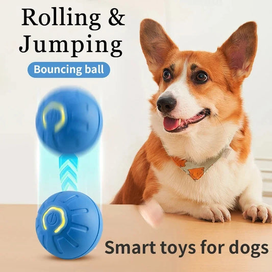 Smart Dog Toy Ball