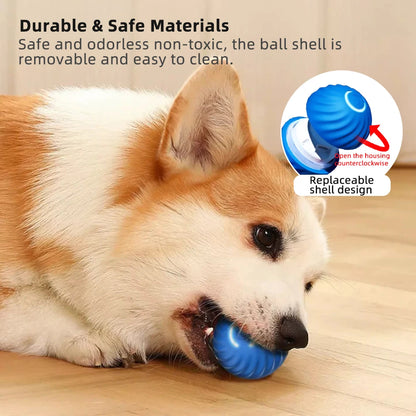 Smart Dog Toy Ball