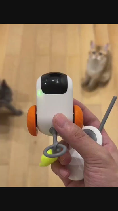 Remote Control Electric Cat Toy
